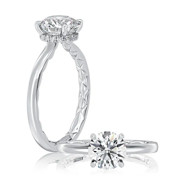 White 14 Karat Semi Mount Ring Doland Jewelers, Inc. Dubuque, IA