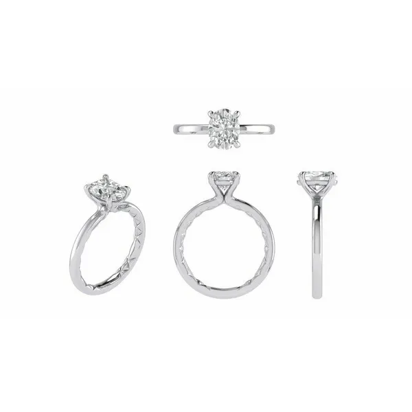 White 14 Karat Solitaire Semi Mount Ring Doland Jewelers, Inc. Dubuque, IA