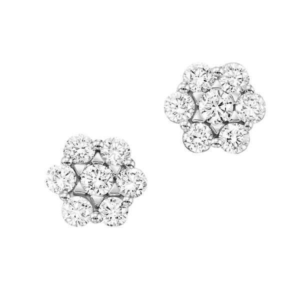 Diamond Bouquet White 14 Karat Stud Earrings Doland Jewelers, Inc. Dubuque, IA