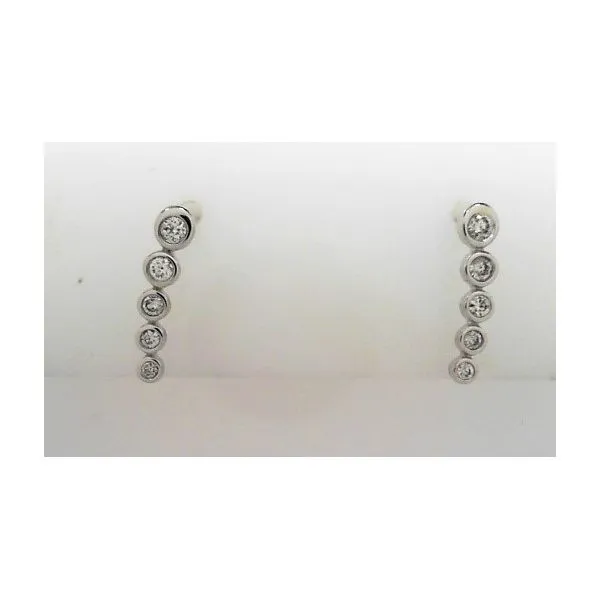 14 Karat White Gold Diamond Earrings Doland Jewelers, Inc. Dubuque, IA