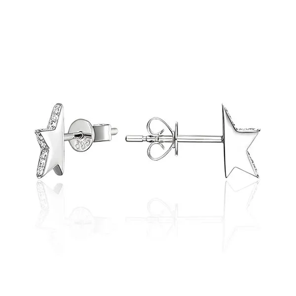 Diamond Earrings Doland Jewelers, Inc. Dubuque, IA