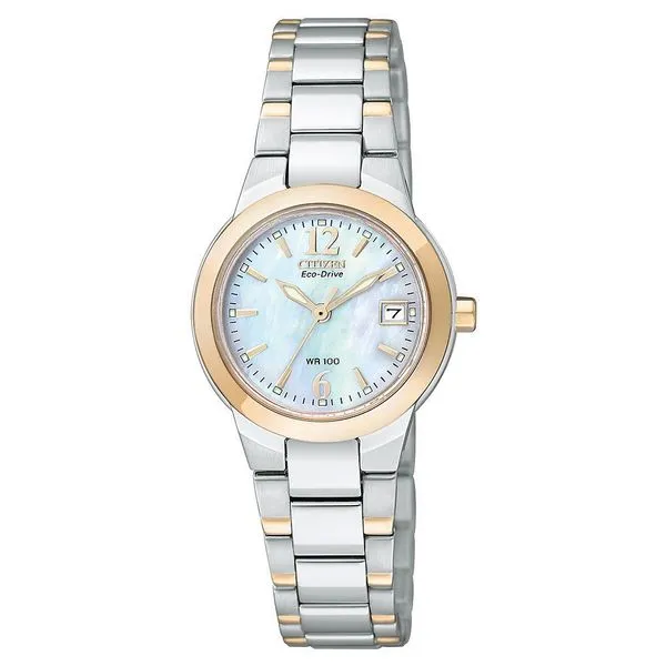 Citizen chandler sale stainless steel