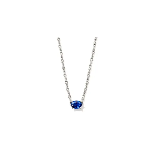 Cailin White Rhodium Plated Blue Violet Crystal Necklace Doland Jewelers, Inc. Dubuque, IA