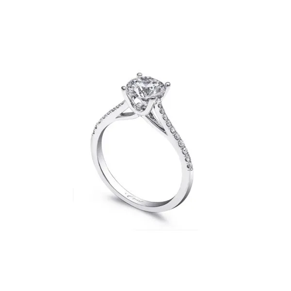 DIAMOND ENGAGEMENT RING SEMI-MOUNTING Dondero's Jewelry Vineland, NJ