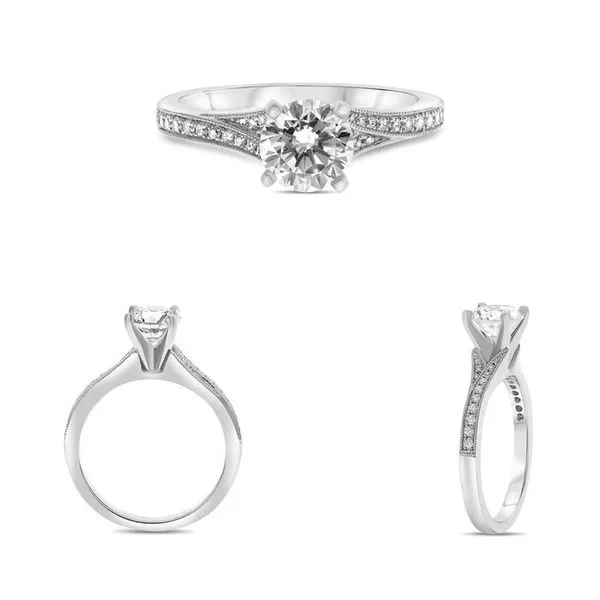 Engagement Ring Mounting