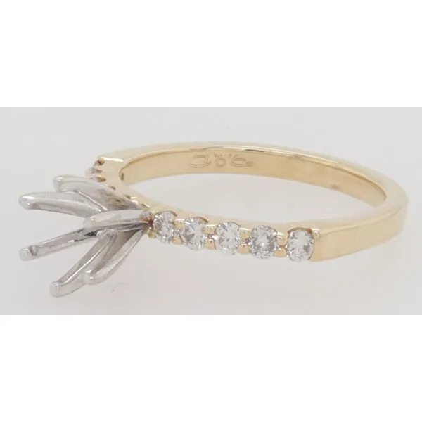 Engagement Ring Mounting