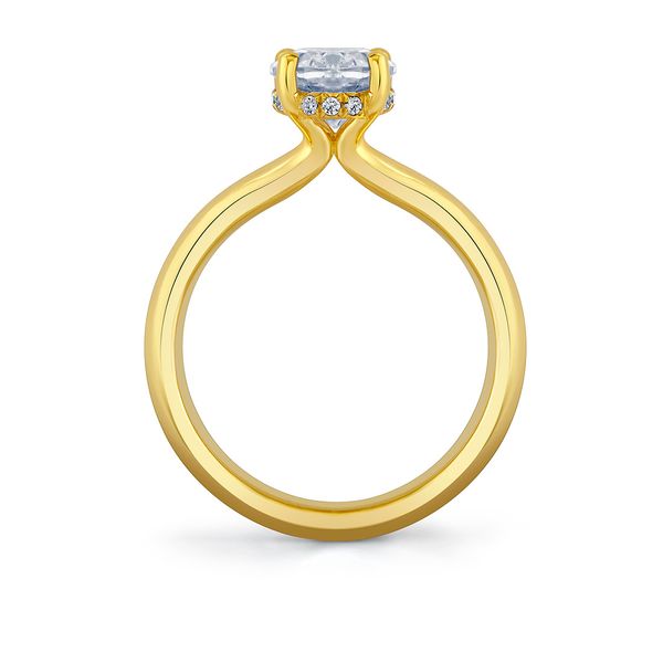 Engagement Ring Mounting Image 2 Dondero's Jewelry Vineland, NJ