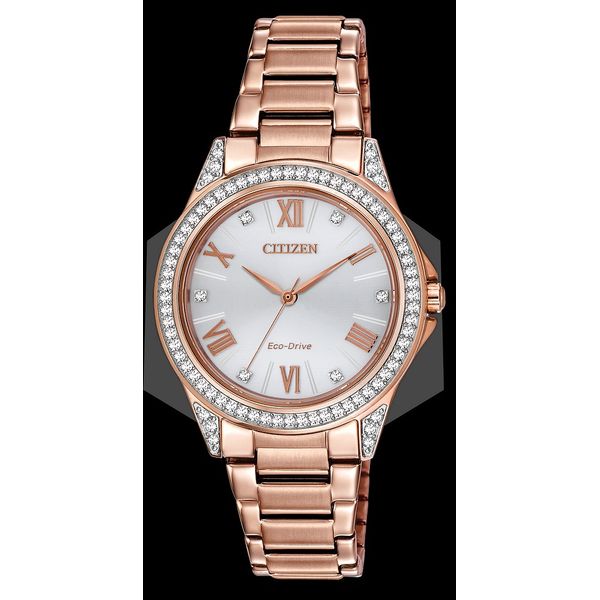 CITIZEN LADIES WATCH Dondero's Jewelry Vineland, NJ