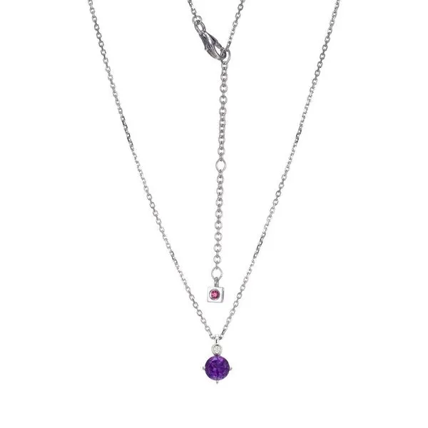 ELLE FEBRUARY BIRTHSTONE NECKLACE Dondero's Jewelry Vineland, NJ