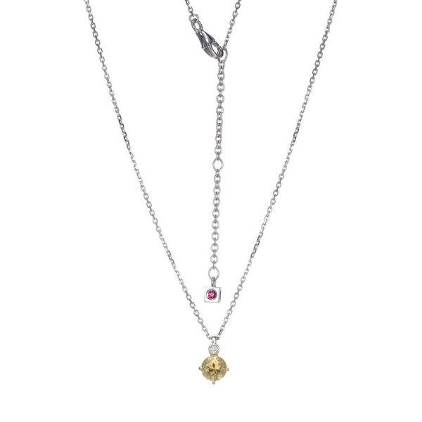 ELLE NOVEMBER BIRTHSTONE NECKLACE Dondero's Jewelry Vineland, NJ