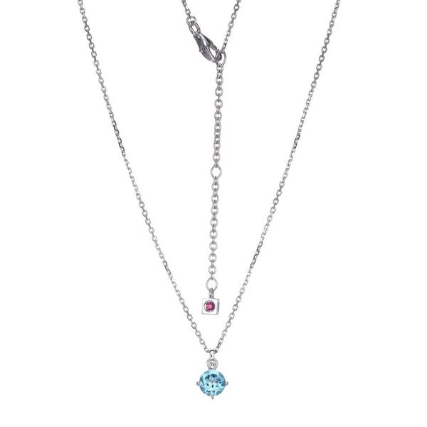 ELLE DECEMBER BIRTHSTONE NECKLACE Dondero's Jewelry Vineland, NJ