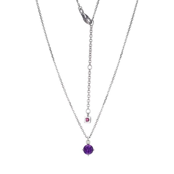 ELLE FEBRUARY BIRTHSTONE NECKLACE Dondero's Jewelry Vineland, NJ