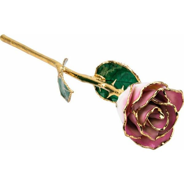 LACQUERED CREAM PINK ROSE WITH GOLD TRIM Dondero's Jewelry Vineland, NJ