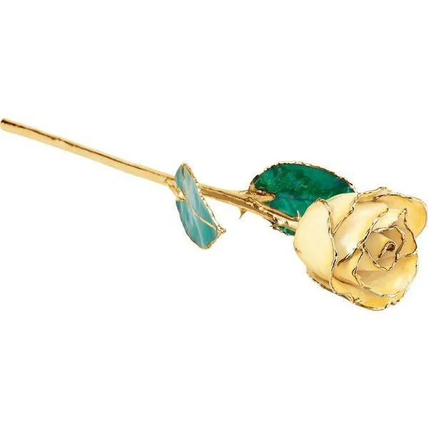 LACQUERED CREAM YELLOW ROSE WITH GOLD TRIM Dondero's Jewelry Vineland, NJ