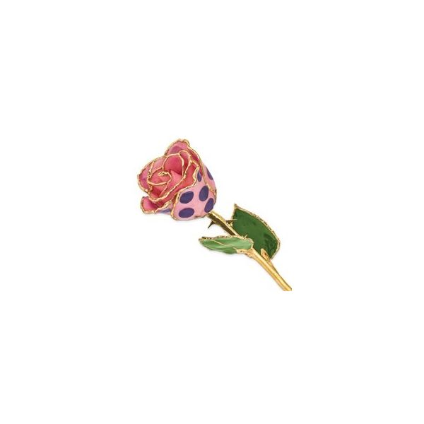 Rose Dondero's Jewelry Vineland, NJ