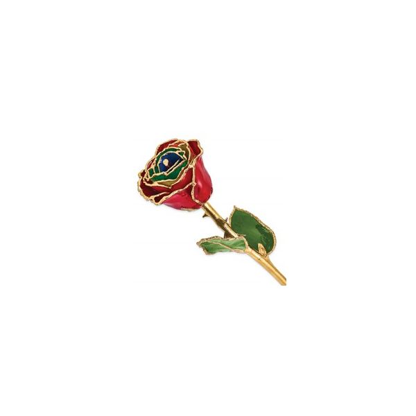 Rose Dondero's Jewelry Vineland, NJ