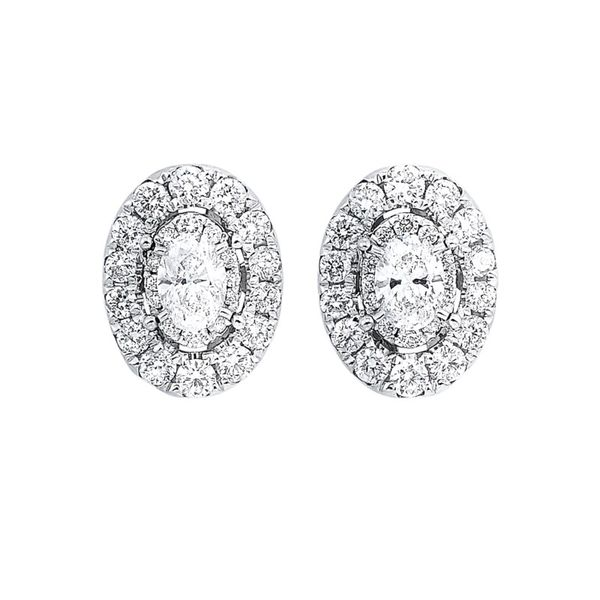 14kt White Gold Oval Stud Earrings Don's Jewelry & Design Washington, IA