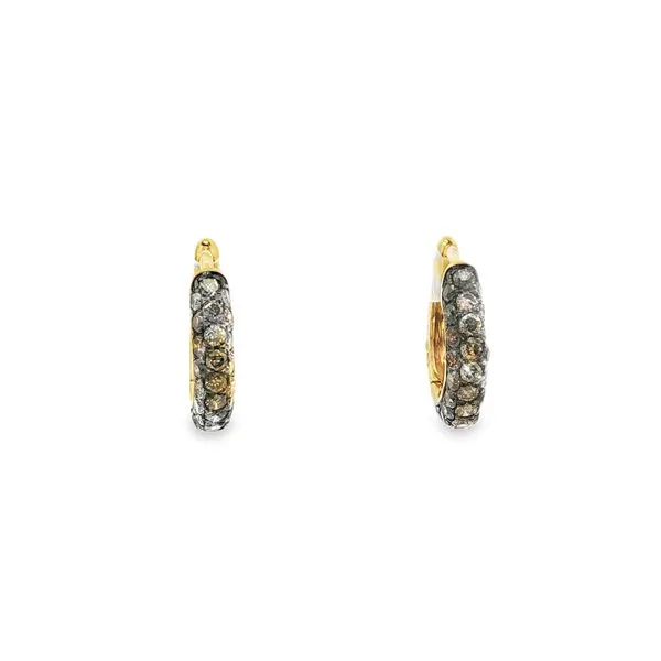 14kt Gold Fancy Mocha Diamond Hoop Earrings
