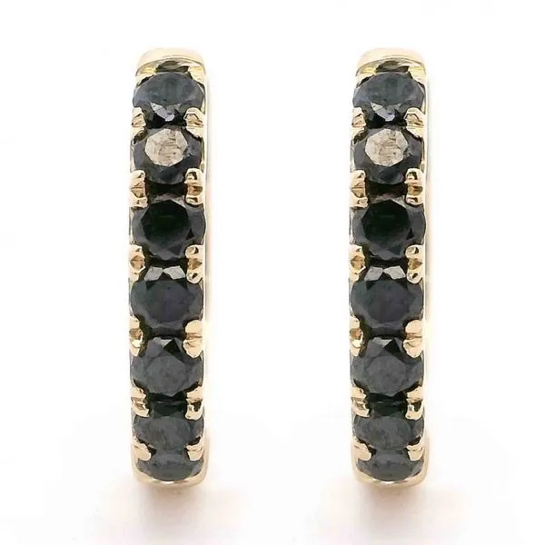 14kt Yellow Gold Black Diamond Huggie Earrings Don's Jewelry & Design Washington, IA