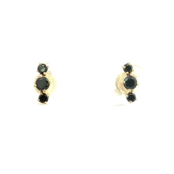 14kt Yellow Gold Black Diamond Stud Earrings Don's Jewelry & Design Washington, IA