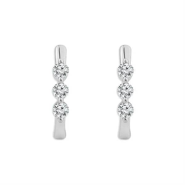 10kt White Gold Diamond Earrings Don's Jewelry & Design Washington, IA