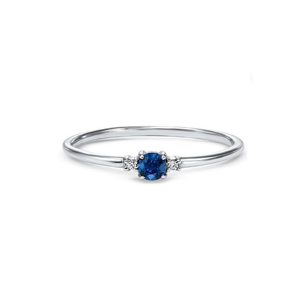 14kt White Gold Sapphire & Diamond Ring Don's Jewelry & Design Washington, IA