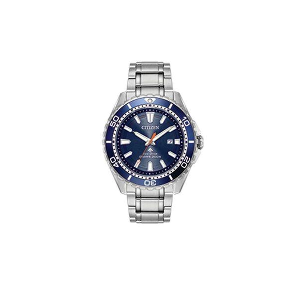 Men's Stainless Steel Promaster Diver Citizen Eco-Drive Watch Don's Jewelry & Design Washington, IA