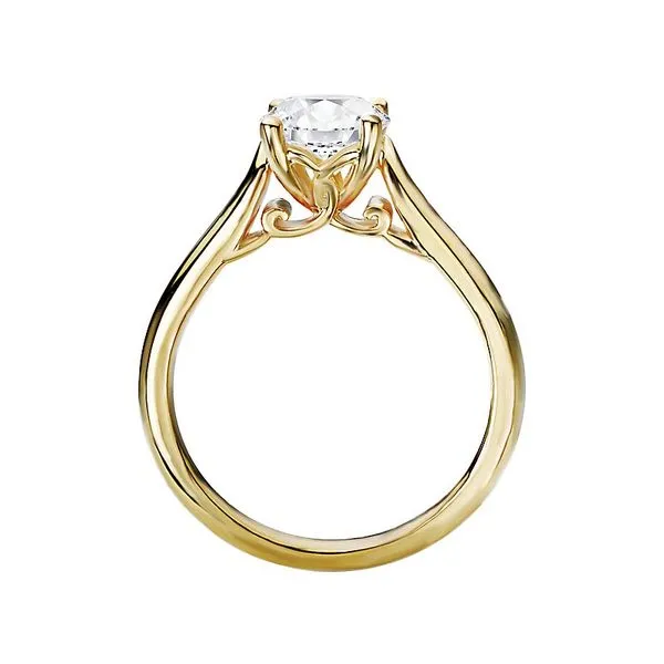 Ring Image 2 Douglas Diamonds Owatonna, MN