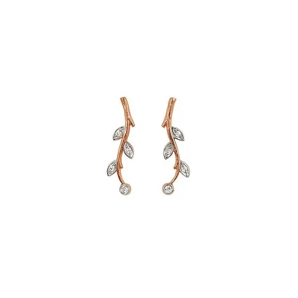 Earrings Douglas Diamonds Phoenix, AZ