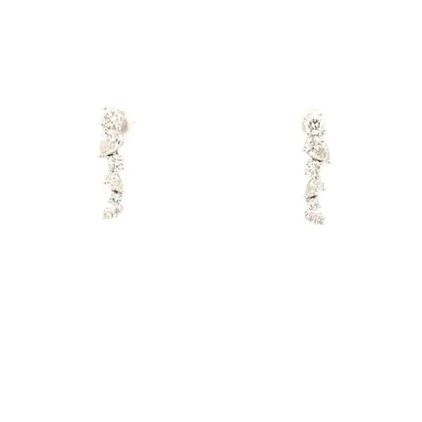 Earrings Douglas Diamonds Faribault, MN
