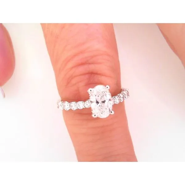 Engagement Ring Dream Jewelers Chicago, IL