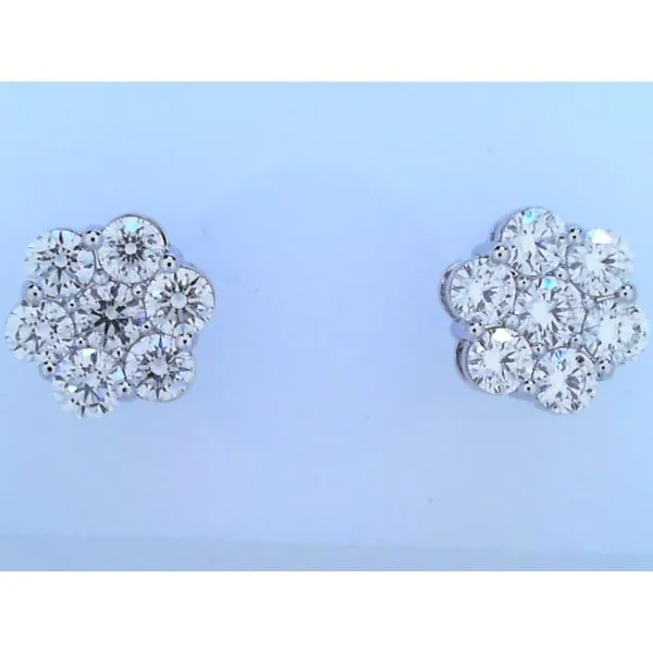 Earrings Dream Jewelers Chicago, IL