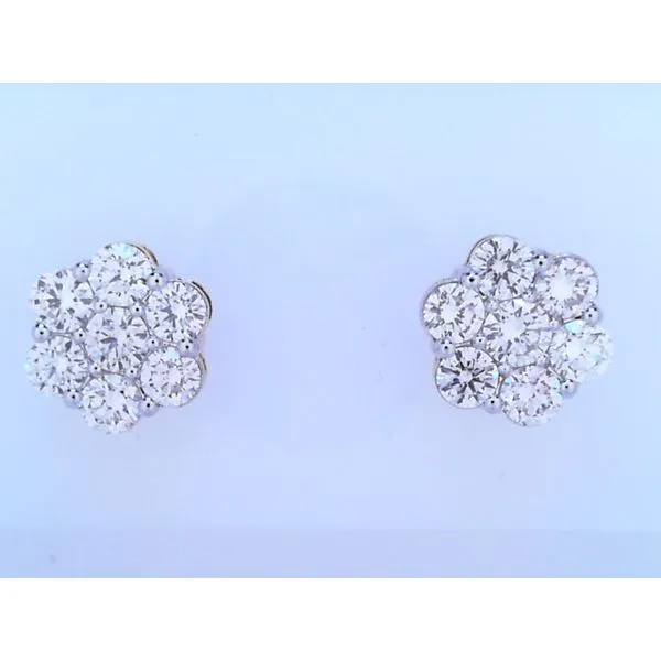 Earrings Dream Jewelers Chicago, IL