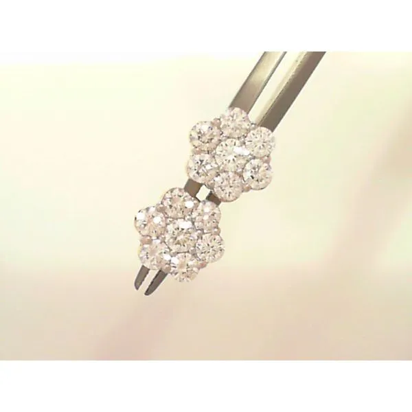 Earrings Dream Jewelers Chicago, IL