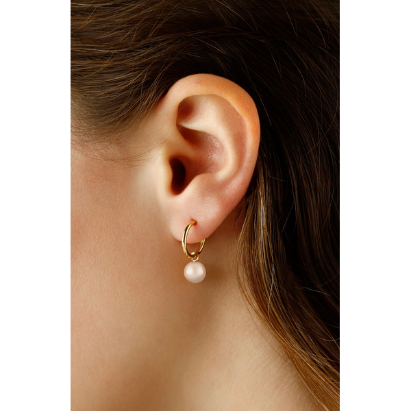 14k Gold Pearl Dangle Hoops Image 2 Duke's Jewelers Springville, UT