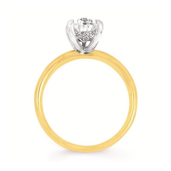 Engagement Ring Duncan Diamonds & Fine Jewelry Osage Beach, MO