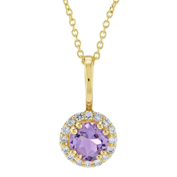 10K Yellow Gold Amethyst Birthstone Necklace Elgin's Fine Jewelry Baton Rouge, LA