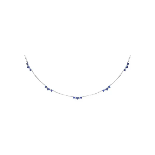 Sapphire & Diamond Section Necklace Elgin's Fine Jewelry Baton Rouge, LA