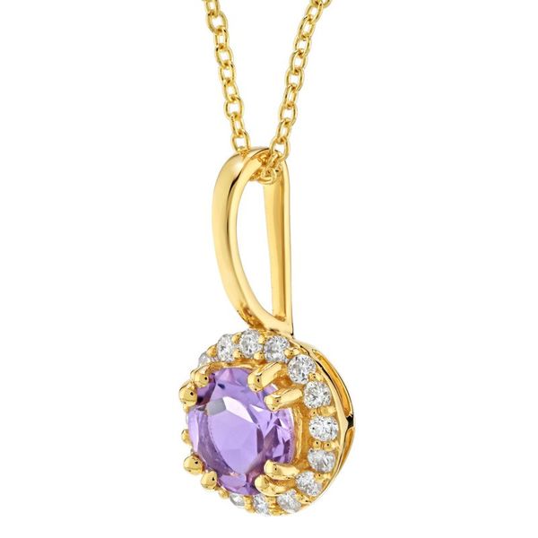 10K Yellow Gold Amethyst Birthstone Necklace Image 2 Elgin's Fine Jewelry Baton Rouge, LA