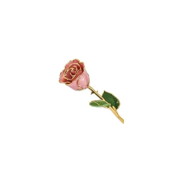 Lacquer Dipped 24k Gold Trimmed Dusty Pink Rose E M Smith Family Jewelers Chillicothe Oh Lacquer Dipped 24k Gold Trimmed Dusty Pink Rose E M Smith Family Jewelers Chillicothe Oh