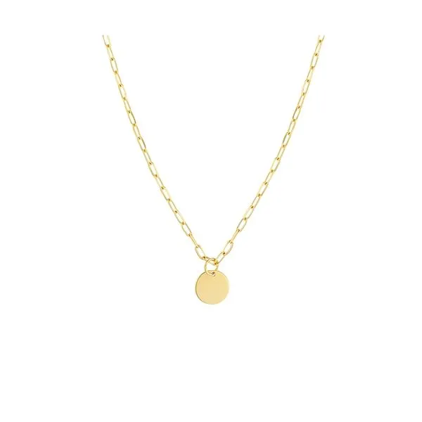 14KY Dangle Disk w/ Paperclip Chain Necklace Erica DelGardo Jewelry Designs Houston, TX