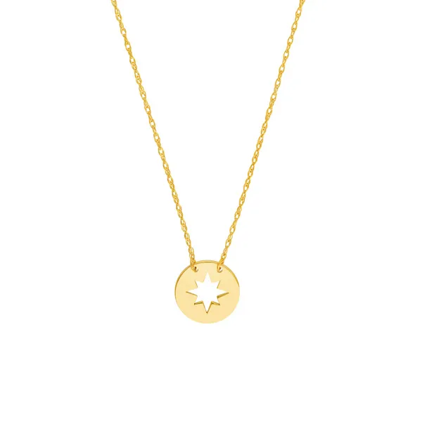 14KY Mini Disk w/ Star Necklace Erica DelGardo Jewelry Designs Houston, TX