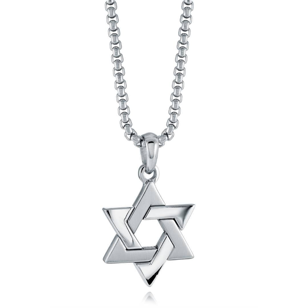 Stainless Steel Dual Finish Star of David Necklace 22