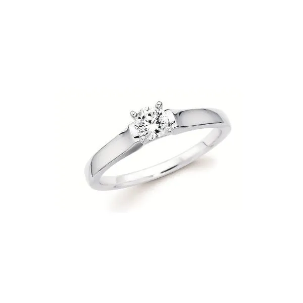 14Kt White Gold Cathedral Style Engagement Ring Erickson Jewelers Iron Mountain, MI