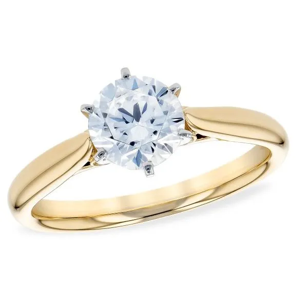 14Kt Yellow Gold Solitaire Cathedral Style Engagement Ring Erickson Jewelers Iron Mountain, MI