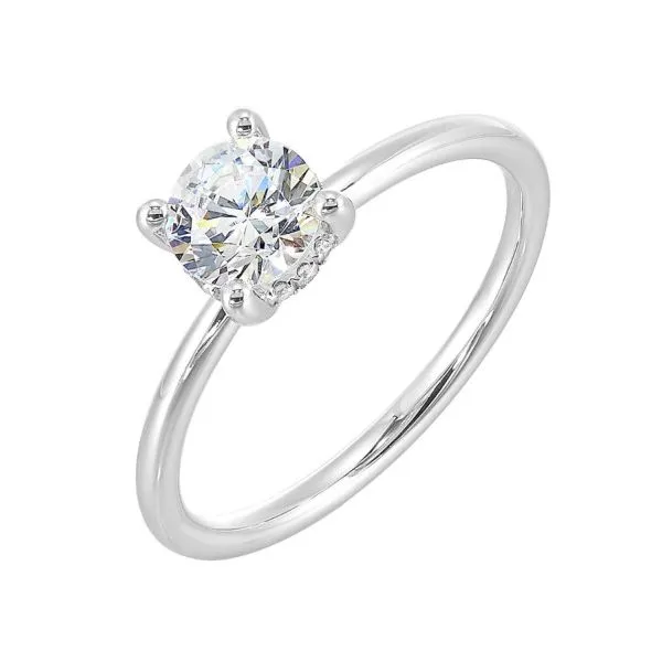 14Kt White Gold Hidden Halo Engagement Ring Erickson Jewelers Iron Mountain, MI