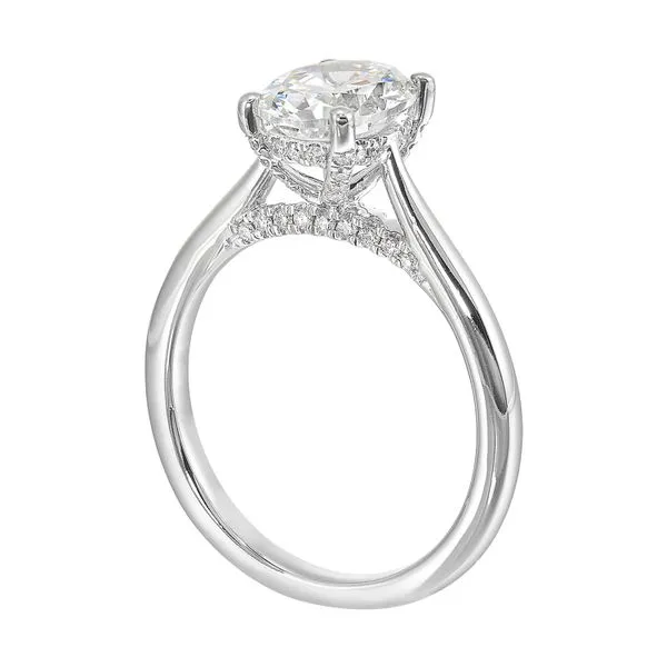 14Kt White Gold Solitaire Engagement Ring with Hidden Diamond Detail Erickson Jewelers Iron Mountain, MI