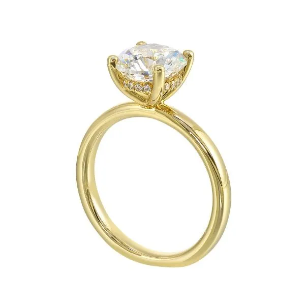 14Kt Yellow Gold Solitaire Engagement Ring with Hidden Halo Erickson Jewelers Iron Mountain, MI