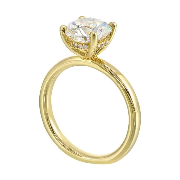14Kt Yellow Gold Solitaire Engagement Ring with Hidden Halo Erickson Jewelers Iron Mountain, MI