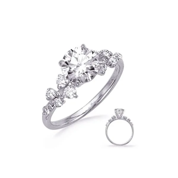 14 Karat White Gold Diamond Engagement Ring Erickson Jewelers Iron Mountain, MI